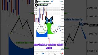 ✅Butterfly Forex System 1420+ MT4 FREE DOWNLOAD 🚀🚀