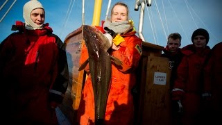 Velferdstur til Røst