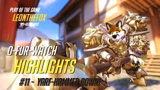 O-Fur-Watch Highlights - #11 - Yarf-HAMMER down!