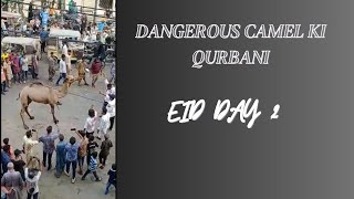 Dangerous Camel Ki Qurbani🐪 !! | 2023 || Eid Day 2 || Happy Eid Wish❤