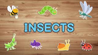 Insects in English