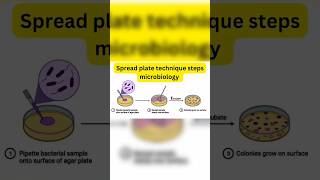 Spread plate technique principle procedure steps in microbiology #spreadplate #labtech #trending