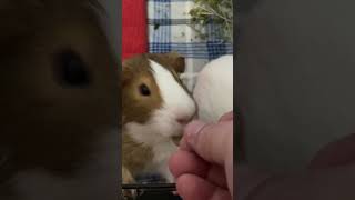 Mike & Toby snack time