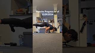 planche training progress as of 22.09.2024 🥰 please feel free to leave any tips. Trying to improve!