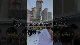 القارئ عبدالرحمان الحمیدانی .. ❣️❣️