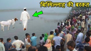 Bismillah Ki Barkat Aur Aik Charwaha Ka Waqia ||  बिस्मिल्लाह की बरकत और चरवाहा का वाकिया