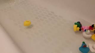 Bathtub Filling ASMR // Little Rubber Ducks Swimming in Tub 3 Hour Loop