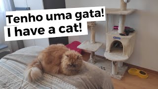 Português A1 - Animal de estimação (a minha gata)