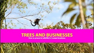 Trees and Businesses in Costa Rica