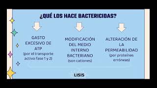 AMINOGLUCOSIDOS