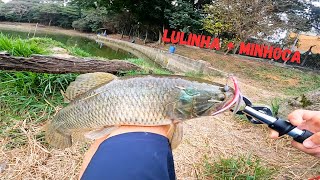 PESCA DE TRAÍRA COM LULA 🦑😱 (Pesqueiro Lago Azul - Cotia)