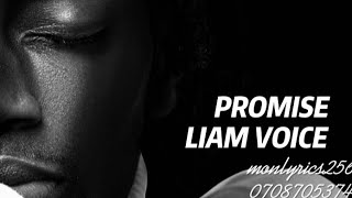 Promise - Liam voice (Official lyrics)