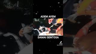 adem ayem damai sentosa #1