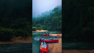 peace of nature#shorts #youtubeshorts #viral #viralvideo