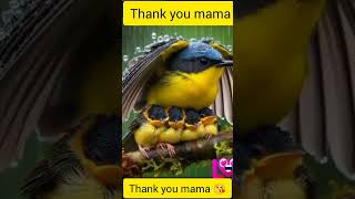 #funny Thank you mama💔❣️💖❣️💞💞