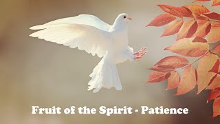 Fruit of the Spirit - Patience - Joseph Shiery