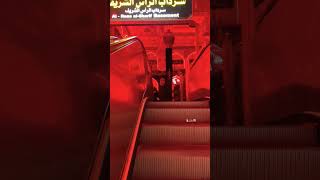 HUSSAINIAT as ki pehchan namaz hai or mujhe namaz bohot psnd hai ( Imam Hussain as)#shorts #viral