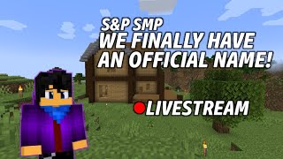 New Server Name, New House! | Minecraft S&P SMP