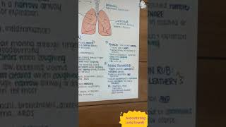 Auscultating Lung Sounds Normal Vs Abnormal Lung Sounds