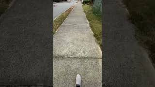 Walking #shortfeed #shortsvideo #shortsyoutube  #shorts  #walking