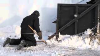 Self Feeding Silage Bag Demonstration