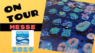 AQUA FISCH 2019 | Impressionen vom zweiten Messetag 🐠