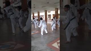 Amirul Haikal bin Azha  TAEKWON DO