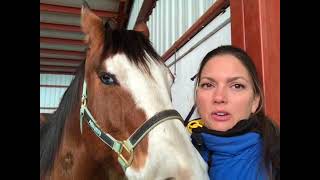 Melissa Arnold Wants to Tell you About Cavallo Hoof Boots!