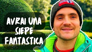 LE 5 DOMANDE PER CHI VUOLE PIANTARE UNA SIEPE 🌿⛏️ CON ESEMPI