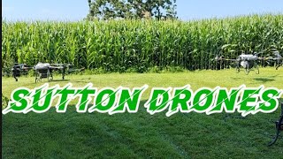 DJI T40 drones spraying fungicide on corn