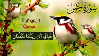 Surah Ar- Rehman سورة الرحمن | tihs voice will touch your heart إنشاءاللّٰه | Surah Rehman ✈🌠