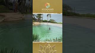 Discover the Perfect Wellness Escapes for Couples & Families!!! Ayurooms