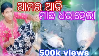 ଆମର ଆଜି ମାଛ ଧରାହେଲା.? Bapi lifesyle new vlog