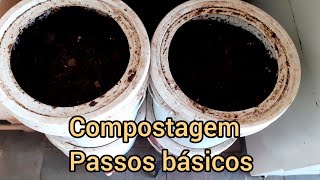 compostagem: passos básicos do que fazer!