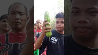 Pare sayur atau buah? #noreaction #sorts #challenge