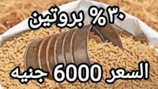 أهم الأعلاف عالية البروتين منخفضة الثمن