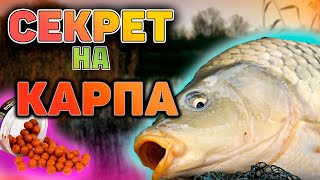 Рыбалка на КАРПА на утренней зорьке I ловля на флет и поплавок