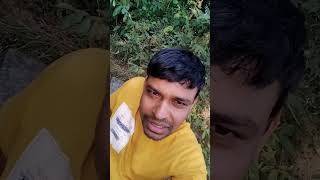 କଣ ଷ୍ଟାଟସ୍ ପକେଇବି💥💥#fun #shortvideo #shorts #short #reels #shortsvideo #viral #viralvideo