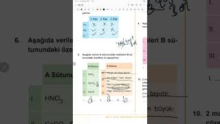 10.sınıf güncel meb kazanım kavrama Etkinlik 6 2024 DETAYLI ANLATIM