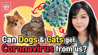 Can pets get Coronavirus from us? - The latest COVID-19 update from a veterinarian