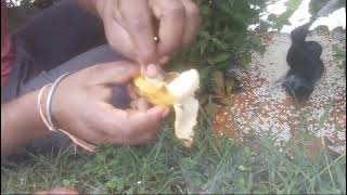 Original Lilliput banana and coconut test || Call me Aaryan 7378461014