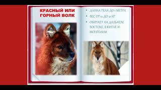 #всемирныйденьдикойприроды Защита природы