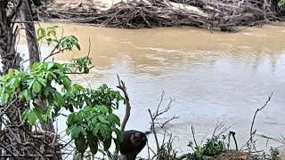 Memancing dan bermalam di tepi sungai. trip ke 2.