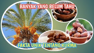 Banyak yang belum tahu, ini 10 fakta unik tentang kurma