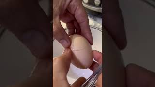 #double #eggyolk #organic #egg #beta #viral #trending #shorts #satisfying #asmr #