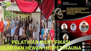 Pelatihan Identifikasi Ular dan Hewan Herpetofauna Hutan Kampung Perumahan Taman Yasmin Bogor