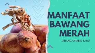 Manfaat Menakjubkan Bawang Merah untuk Kesehatan Tubuh | Pengetahuan Kesehatan