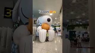 Snoopy🤩🫶 #nadaniyaan #jeju  #southkorea #shorts