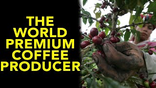 Sumatra Coffee History | Split Rock Coffee Tips