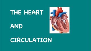 The Heart and Circulation [GCSE BIOLOGY]